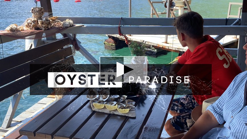 Oyster Paradise